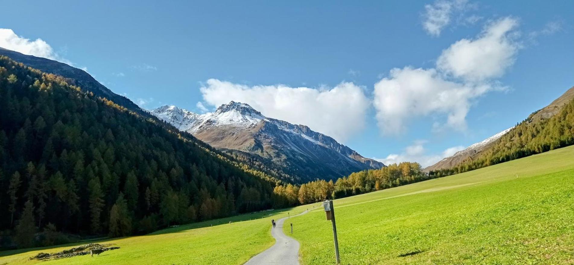 SlingiaZangerlehof别墅 外观 照片